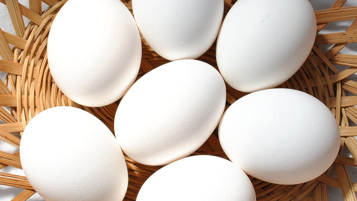 Helping Hens Through the Annual Moult