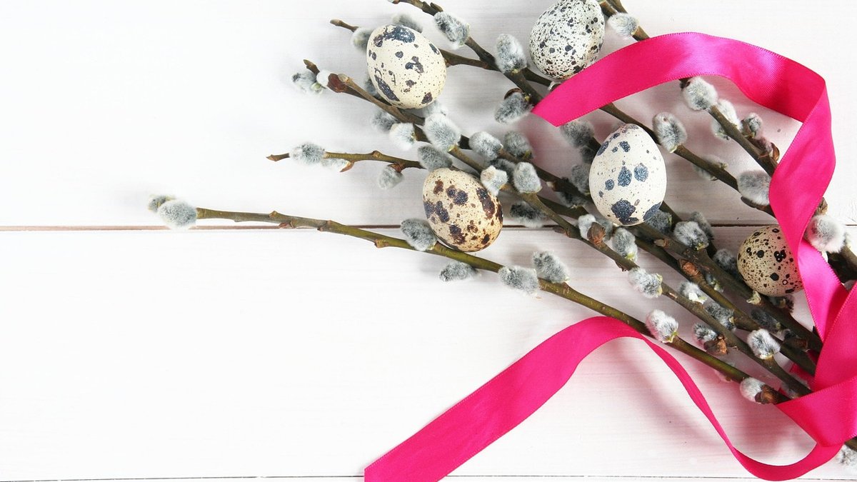 Understanding Eggshell Quality and Hen Nutrition