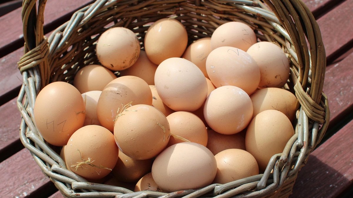 Winter Care for Backyard Chickens in Cold Weather
